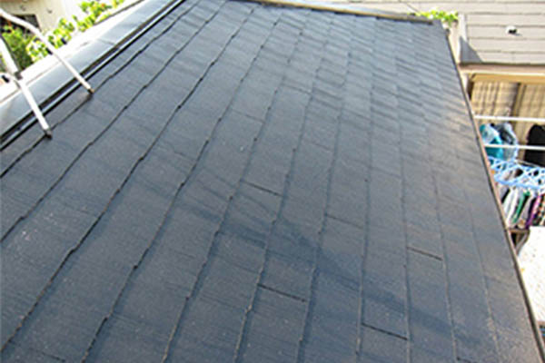 サンプルイメージ